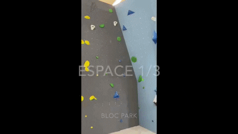 raphG giphygifmaker GIF