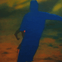 Birds Dance GIF