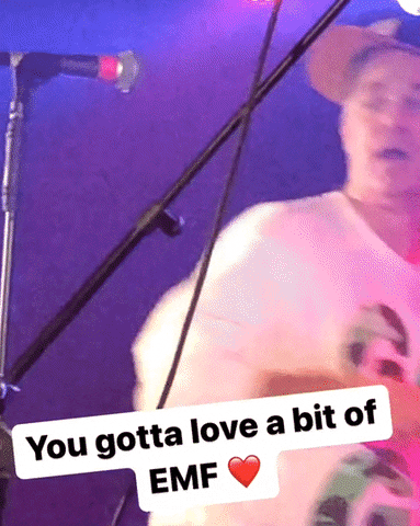 roofp giphyupload GIF