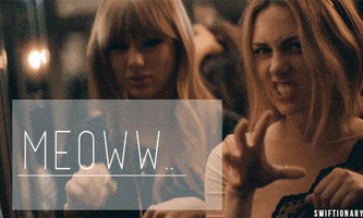 taylor swift meow GIF