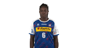 handballbundesligafrauen handball hbf handball bundesliga frauen quist Sticker