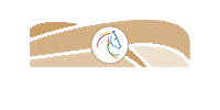 Jump Jumping Sticker by CHIO Aachen