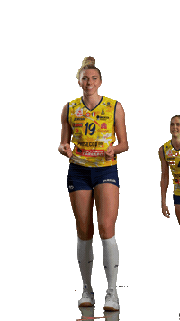 Sarahfahr Sticker by ImocoVolley