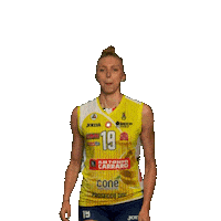 Pantere Imoco Sticker by ImocoVolley