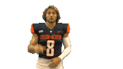 Fortnite Sticker by Carson-Newman Athletics