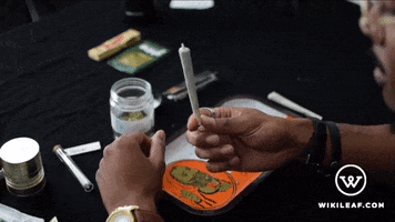 weed marijuana GIF by Wikileaf.com