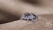 Reaction GIF by MOODMAN