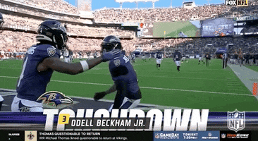 National Football League GIF by NFL