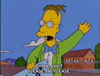 the simpsons please GIF