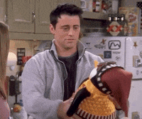Season 9 Joey GIF by Friends