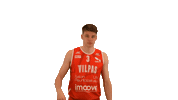 Sport Basketball Sticker by Basket_fi