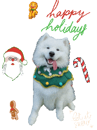 Christmas Benji Sticker