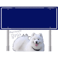 Eindhoven Brabant Sticker