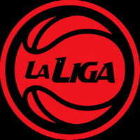 Laliga GIF by LaLigaContenidos