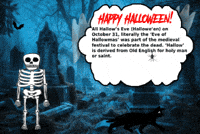Black Cat Halloween GIF
