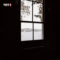 Go Out Home GIF by TRT