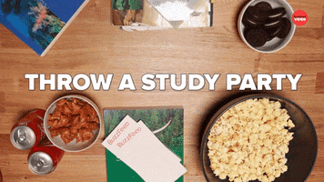 Finals Study Party GIF by BuzzFeed