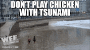 chicken fails GIF by World’s Funniest