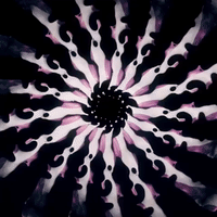 animation eyecandy GIF by hamasakihaus