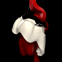 simulation rotating GIF by Shurly