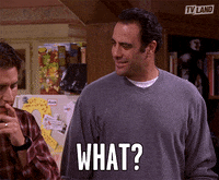 Everybody Loves Raymond What GIF by TV Land