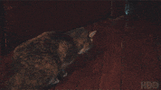 New York Comedy GIF by HBO