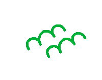 Verde Cordis Sticker by TreCuori