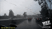 world's funniest fails GIF by Fox TV