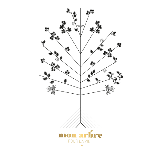 monarbrepourlavie giphyupload heart life coeur Sticker