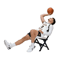 Basketball Cole Sticker by WVU Tech Golden Bears