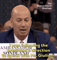 Impeachment GIF