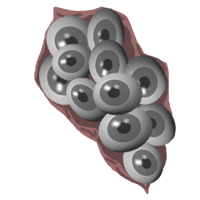 Face Eyes Sticker