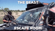 tw steel lol GIF by Tim Coronel