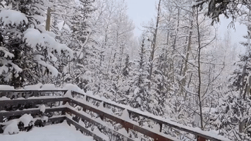 Spring Snow Storm Turns Parts of Colorado Into a Winter Wonderland