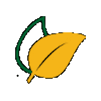 AvantiAgro soja avanti lem matopiba Sticker