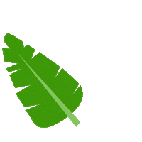 cleanbar nature leaf leaves local Sticker
