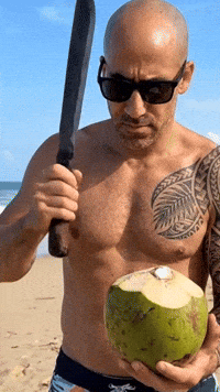 Sol Coconut GIF