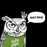 Kukuvaja owl not bad eule kukuvaja GIF