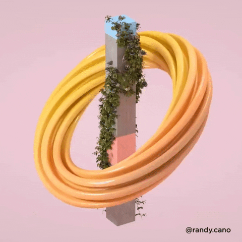 randycano giphygifmaker trippy flowers colors GIF
