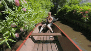 cbs bird natural shook outdoors GIF