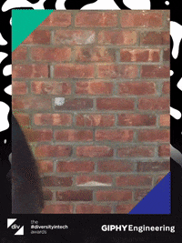 divawards diversityintech GIF