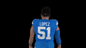 Michigan Arizona GIF by Detroit Lions