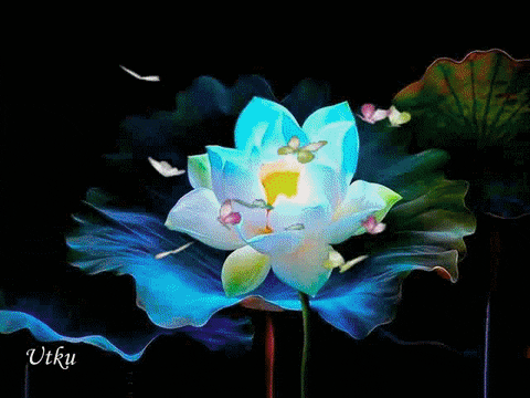 flowers GIF