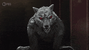 Werewolf Monstrum GIF by PBS Digital Studios