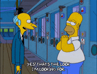 homer simpson episode 21 GIF