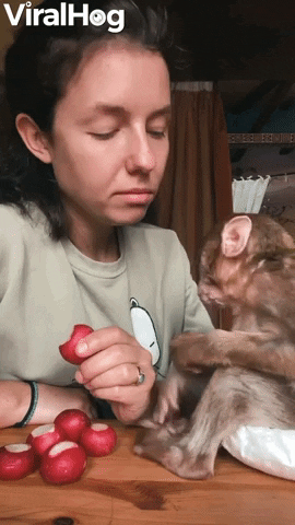 Having A Snack With A Rescued Baby Monkey GIF by ViralHog