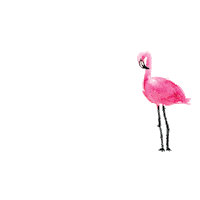 Beauty Lips Sticker by eos Products