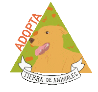Adopt Animal Liberation Sticker by Tierra de Animales