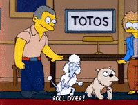 Season 2 GIF by The Simpsons