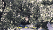 Campsonshinene camp summer camp choose sonshine GIF
